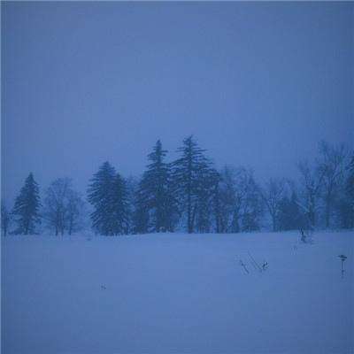 金年会体育app下载官网