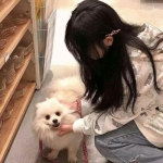 开云app手机版下载